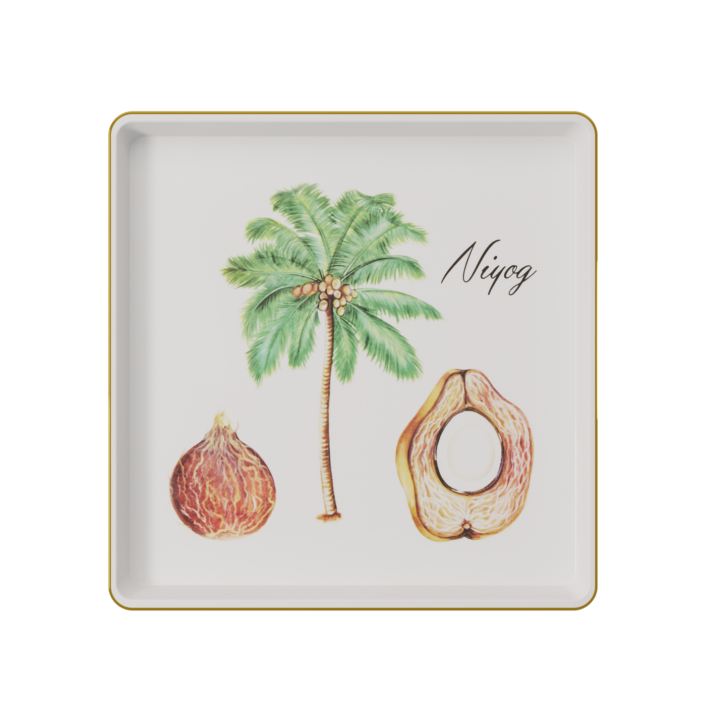 Botanical Plate - Niyog (Framed)