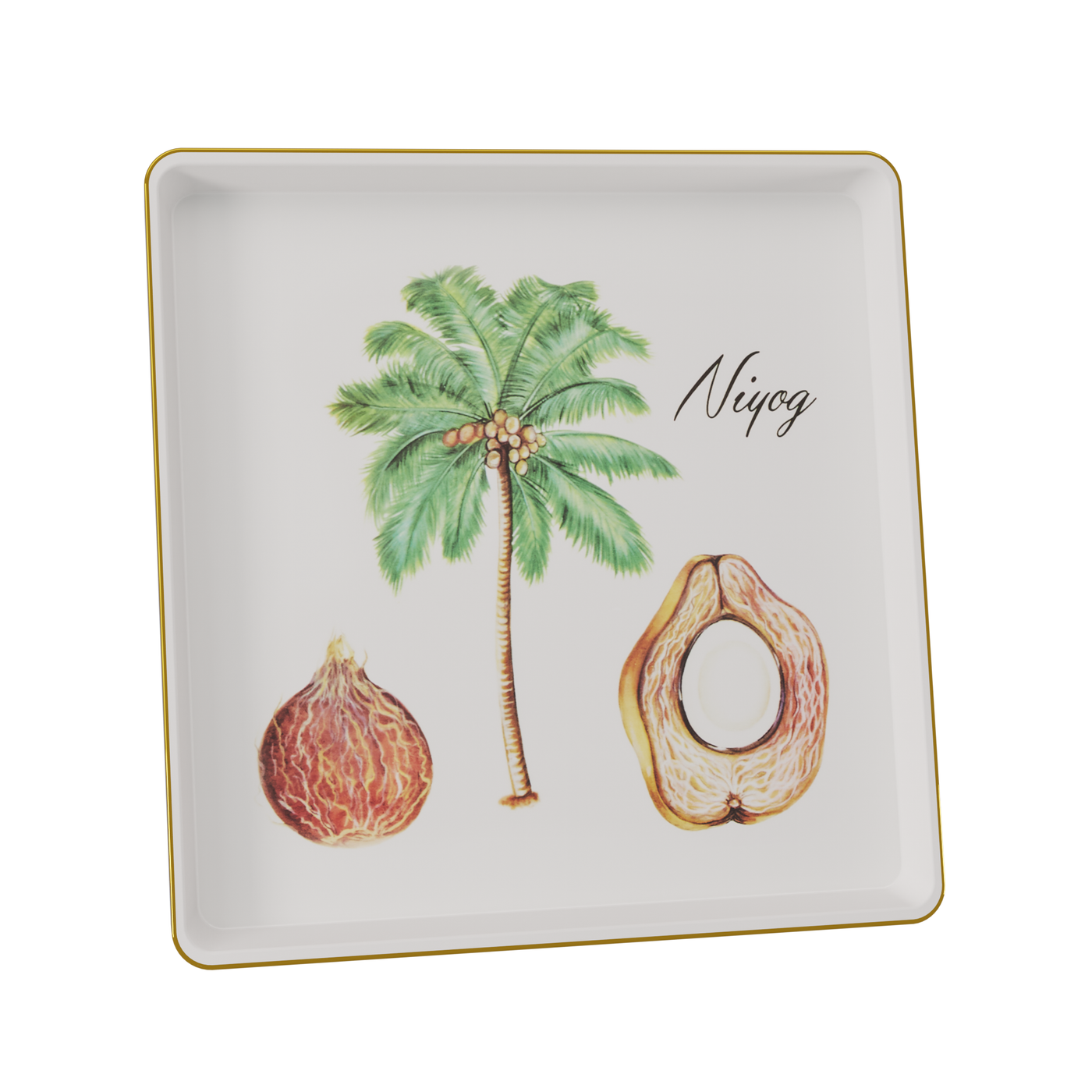 Botanical Plate - Niyog (Framed)
