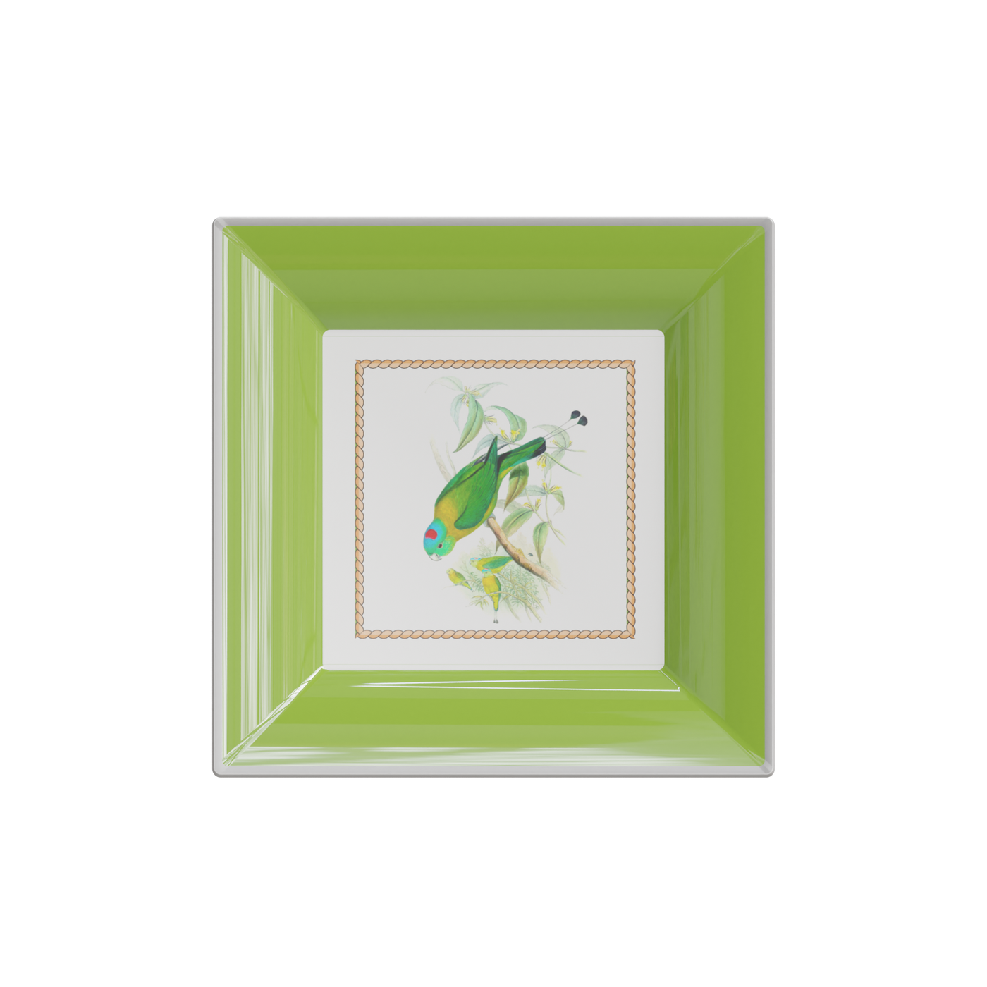 Philippine Birds Plate