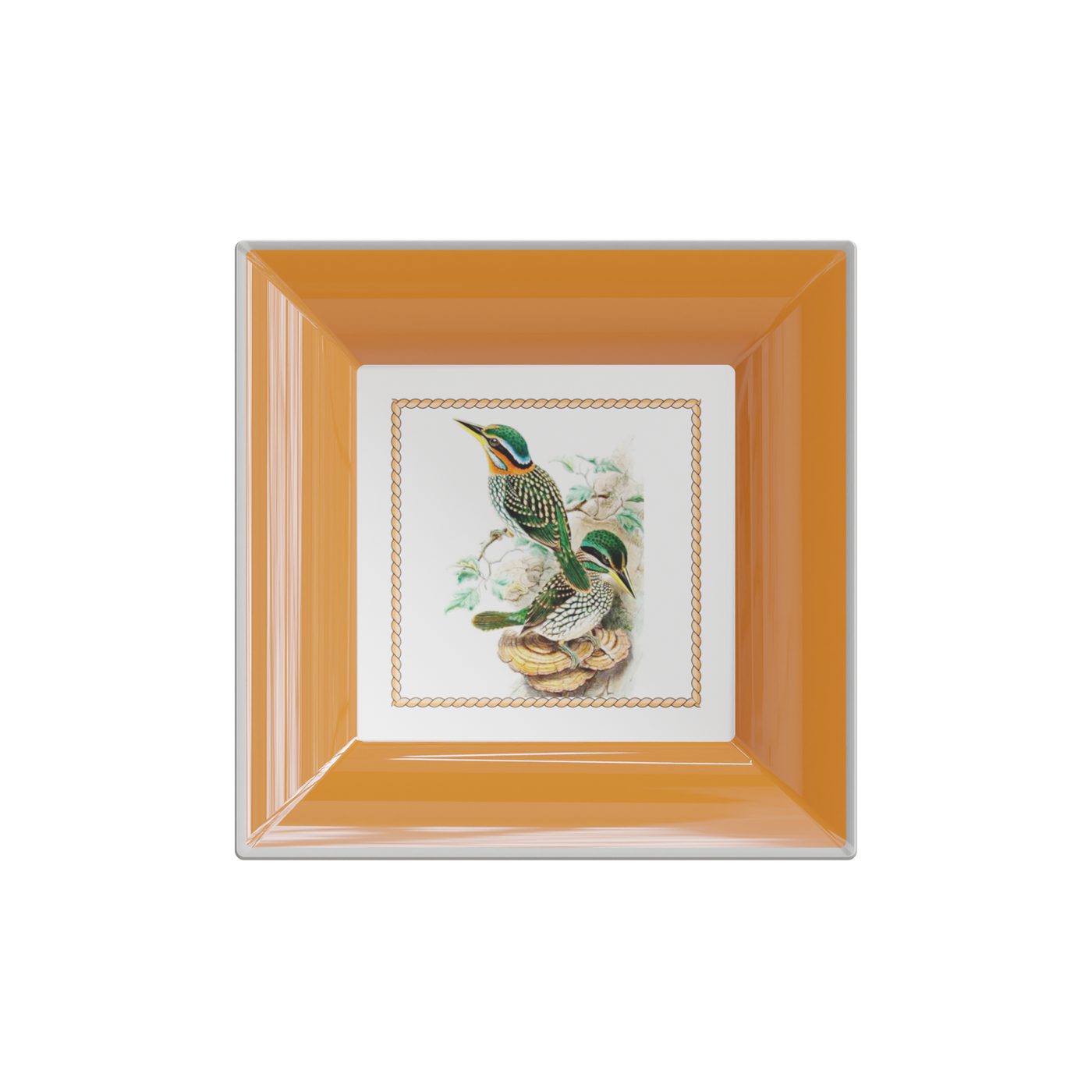 Philippine Birds Plate