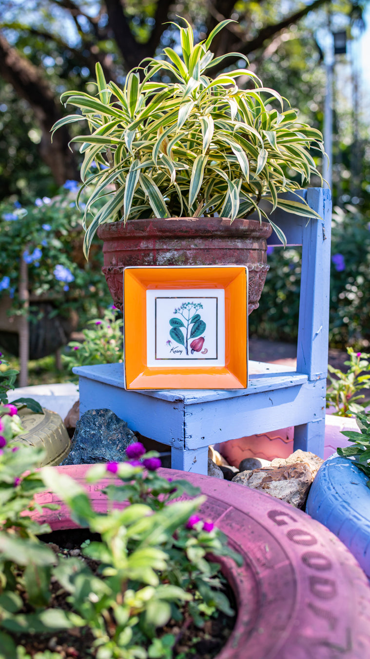 Botanical Plate - Kasoy (Framed)