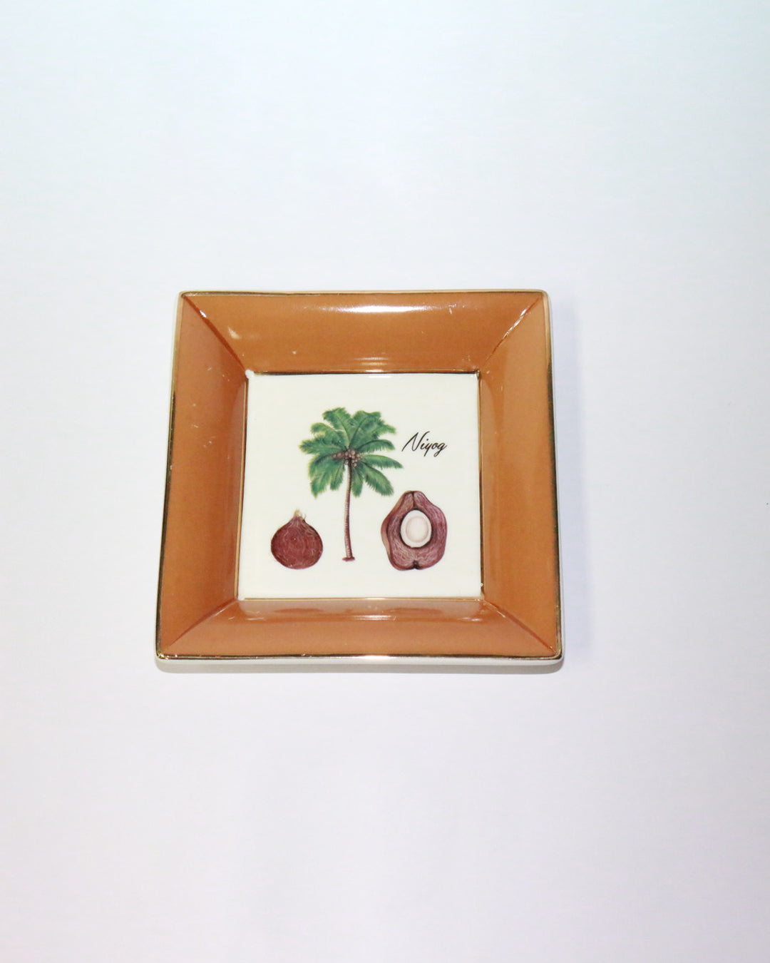 Botanical Plate - Niyog (Framed)