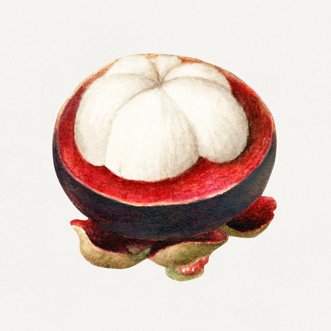 Fruit Plate - Mangosteen